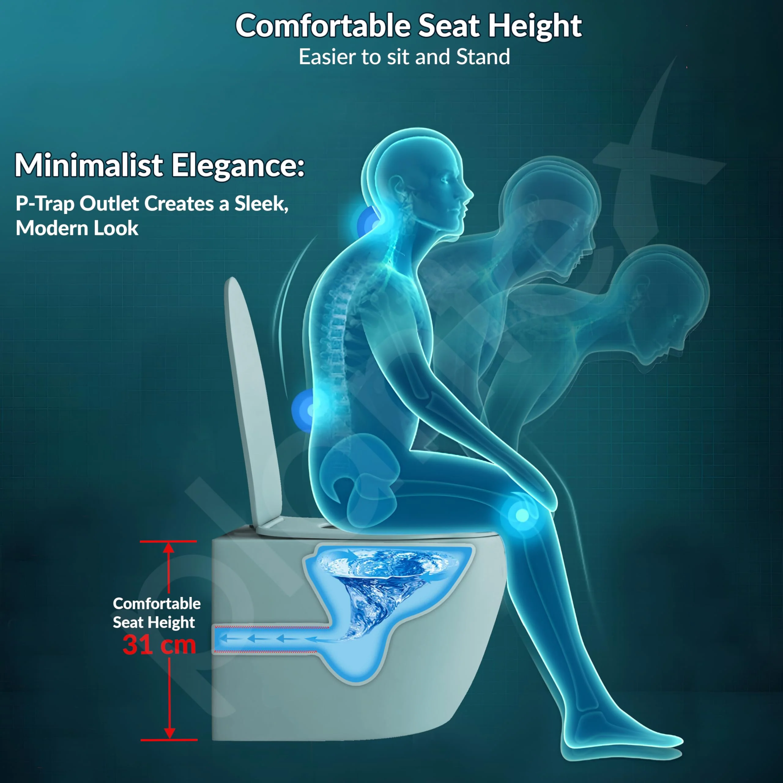 Plantex Imported Ceramic Wall Hung Commode/Rimless Washdown Flush Western Toilet/Round Commode with Soft Closing Toilet Seat - P Trap (Harmony Blue) - Image 6